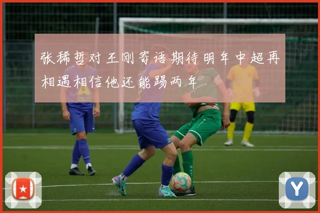 张稀哲对王刚寄语期待明年中超再相遇相信他还能踢两年