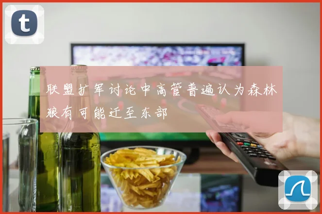 联盟扩军讨论中高管普遍认为森林狼有可能迁至东部