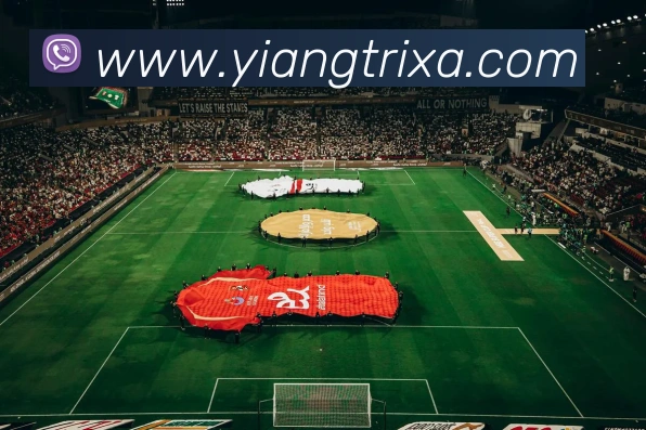 多媒体互动体验